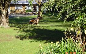 Havelock Garden Motel